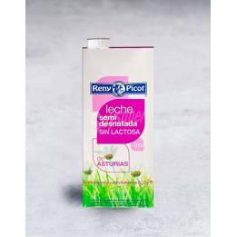 Leche semi sin lactosa 1L.